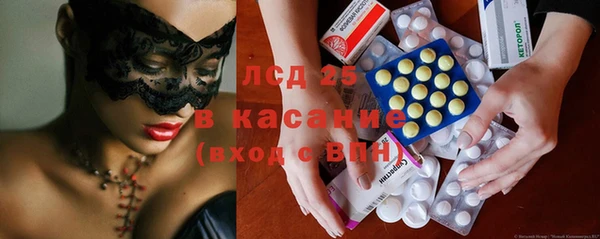 твердый Аркадак