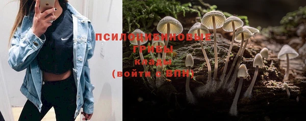 твердый Аркадак