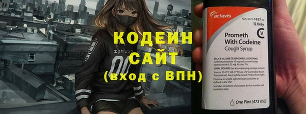 твердый Аркадак