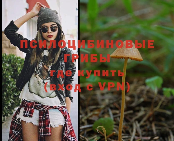 таблы Армянск